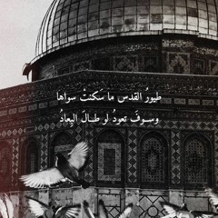 Fatma Elshahat