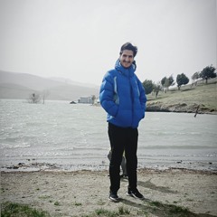 VALIALLAH SHAHMOHAMADI