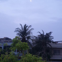 Laiba Fatima