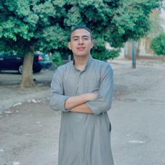 Ahmed Hany