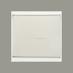 Quaestusimitor-bhaporinru