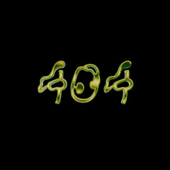 404