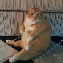 fat fuck