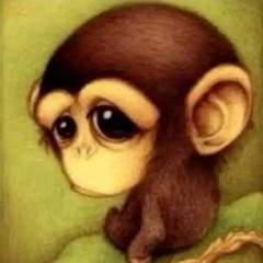 Zeif