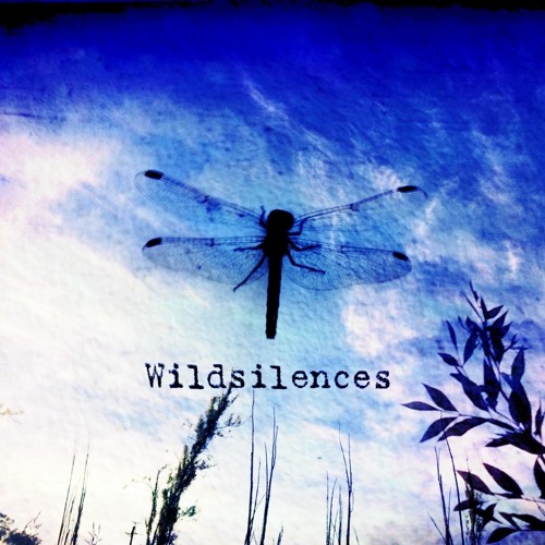 Solace - Going Home (Wildsilences Rework - the Stoned version)