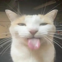 offaflat & disoc8. walk away as the door slams cover