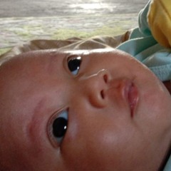 sitty