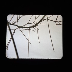 Ep_03_Affective Perspectives on the Anthropocene