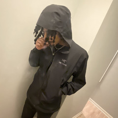 PDW S1LV3R