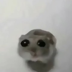 𝐅𝐞𝐥𝐢𝐱 𝐏𝐞𝐭𝐫