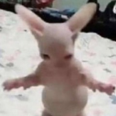 stinkgirl