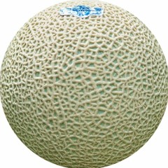 melon