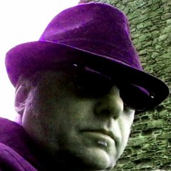 REV. FEEDBACK & PAZVUKY