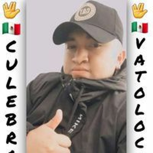 Chamo Culebra VL’s avatar