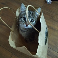 Татьяна Михальченя