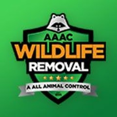 AAAC Wildlife Removal of Houston
