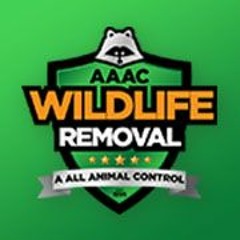AAAC Wildlife Removal of Milwaukee