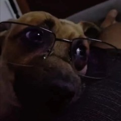 Andrew Demian Duarte