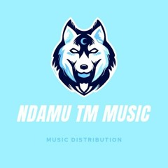 NDAMU TM MUSIC