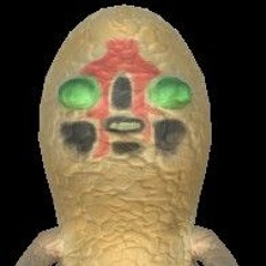 Chorizen