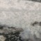 winter☃❄