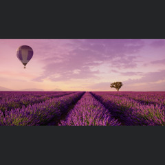 User 829213232