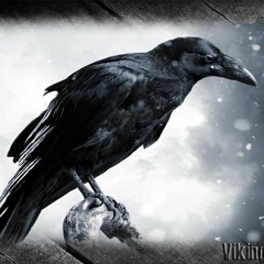 the crow