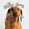 ✧SILLY D0G✧