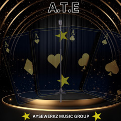 Aysewerkz Music Group