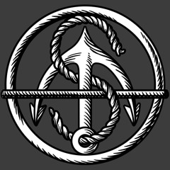 Octopus Attacks Shark!! Sessions