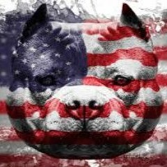 sirmoosealot.kennels