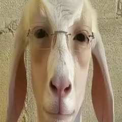 Пьер дун