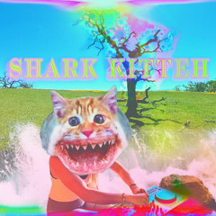 SHARK KITTEH