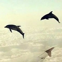 weeeee