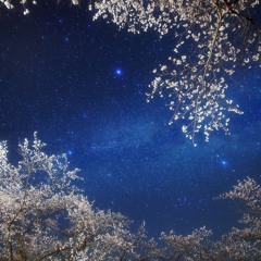 Tony Niu