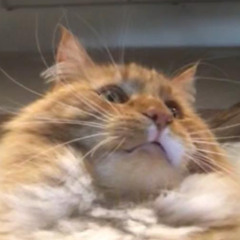 MZZZZZZZZZZZZZZZZZZZZZZZZ