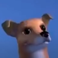 %t