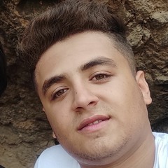 amir ali