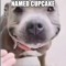 Named Cupcake