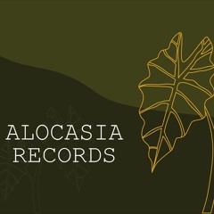 Alocasia Records