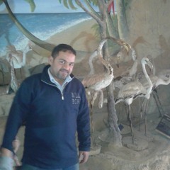 Mohamed Ibrahim