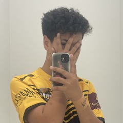 HN_ICE12