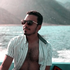 Karim Amer