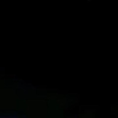 dv4q