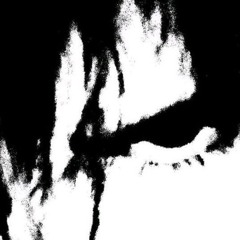(https://t.me/nrlptc)