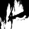 (https://t.me/nrlptc)