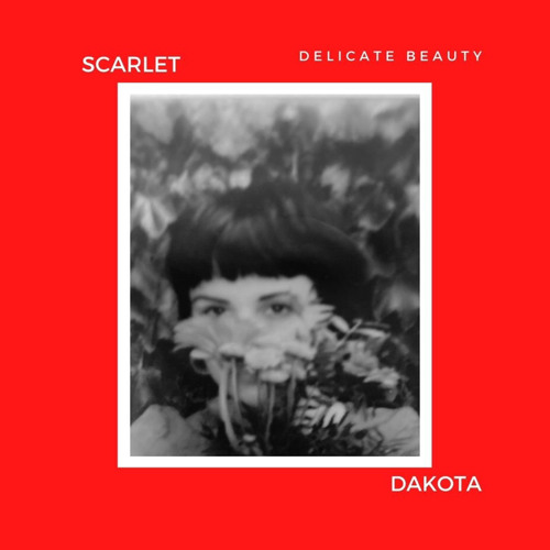 Scarlet Dakota’s avatar