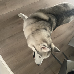 Sadlilboi