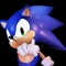 Sonic T. Hedgehog