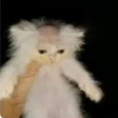 Thexwhats